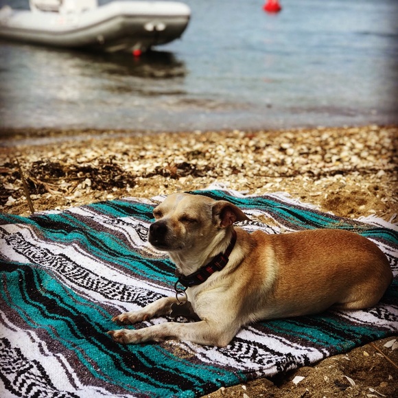 Meet your Posher, Morgan Starr - Picture 9 of 10